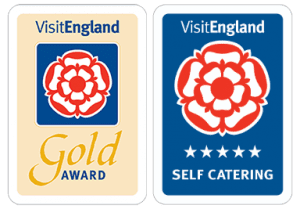 VE-5-star-Gold-logo-300x209